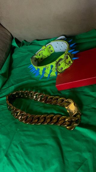collar perro