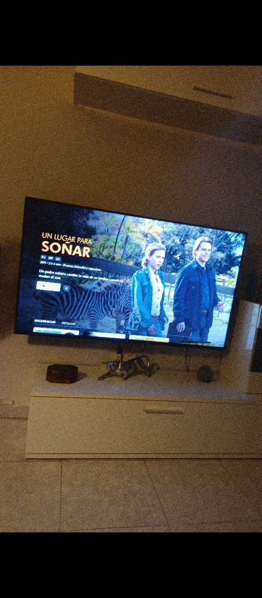 TV Xiaomi 55" negra entera o despiece