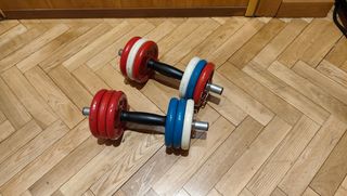 Pesas Salter de mancuernas vintage, 6 kg cada una