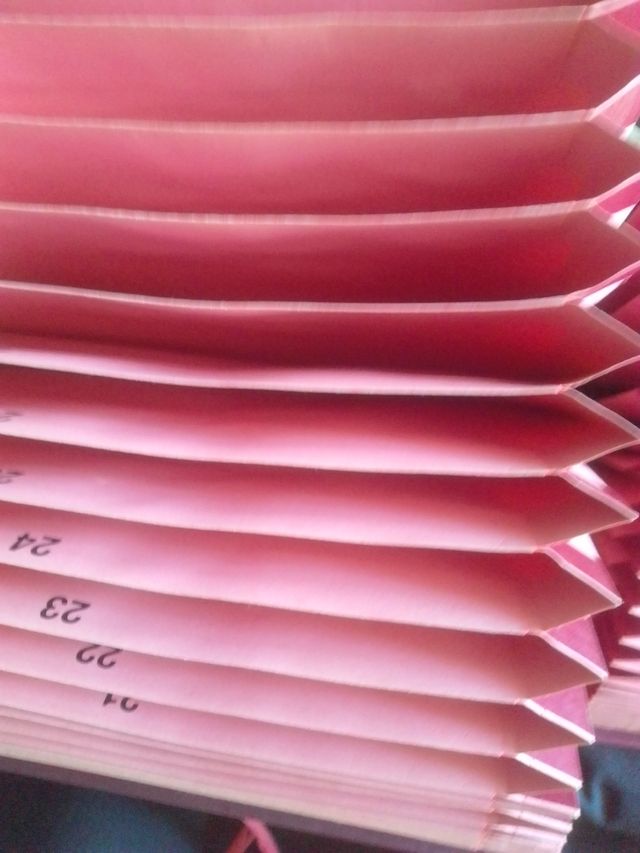 ARCHIVADOR PEC ACORDEÓN DE LAZO.