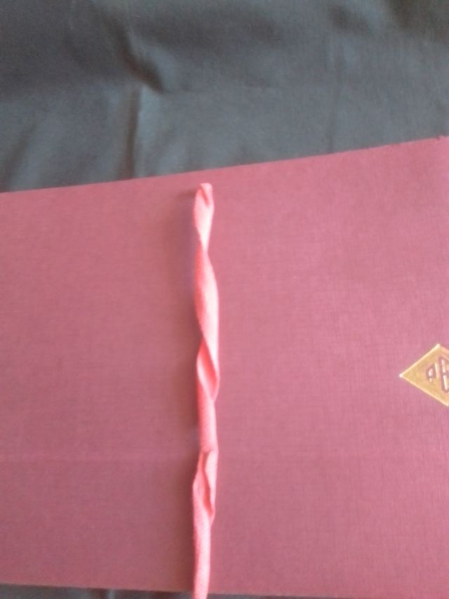 ARCHIVADOR PEC ACORDEÓN DE LAZO.