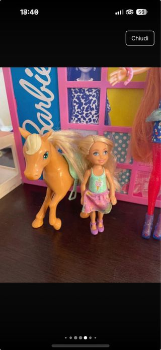 Barbie, Cavallino & Accessori