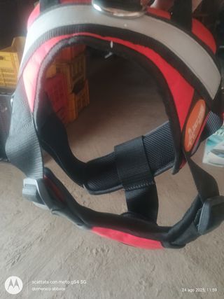 Pettorina cani regolabile rossa taglia l