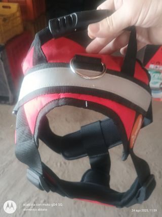 Pettorina cani regolabile rossa taglia l