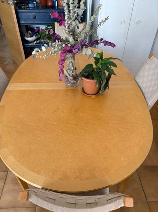 Mesa comedor ovalada extensible  + 4 sillas