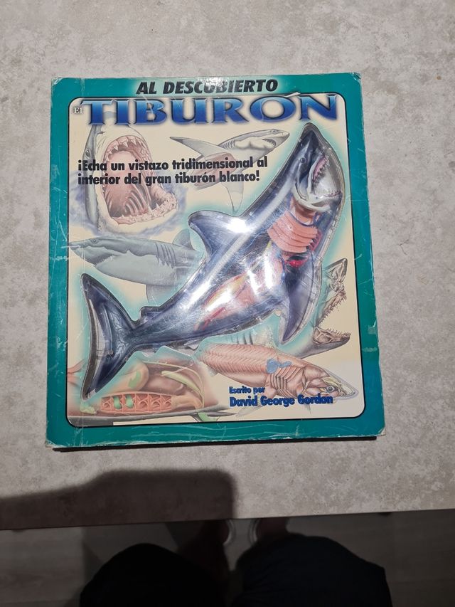 Al descubierto el tiburon: Uncover a Shark, Spa...