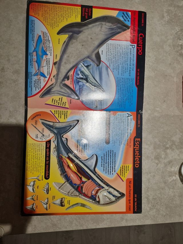 Al descubierto el tiburon: Uncover a Shark, Spa...