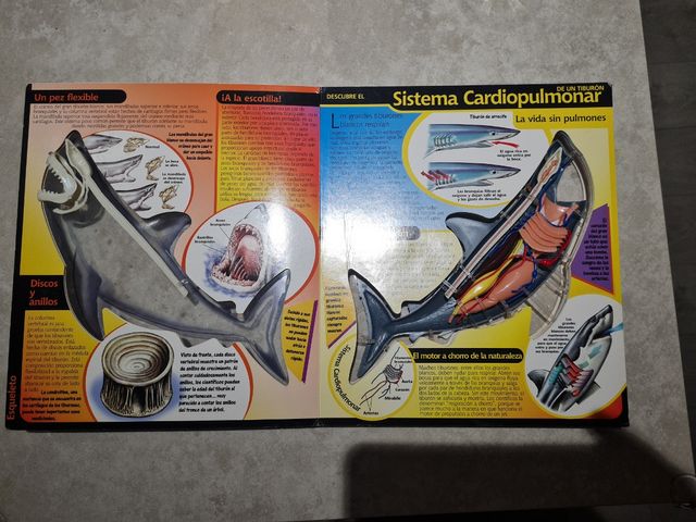 Al descubierto el tiburon: Uncover a Shark, Spa...