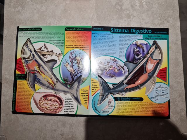 Al descubierto el tiburon: Uncover a Shark, Spa...