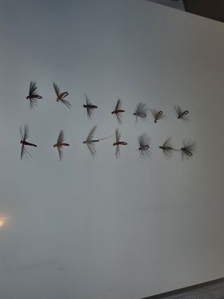 14 Moscas para Pesca a Mosca