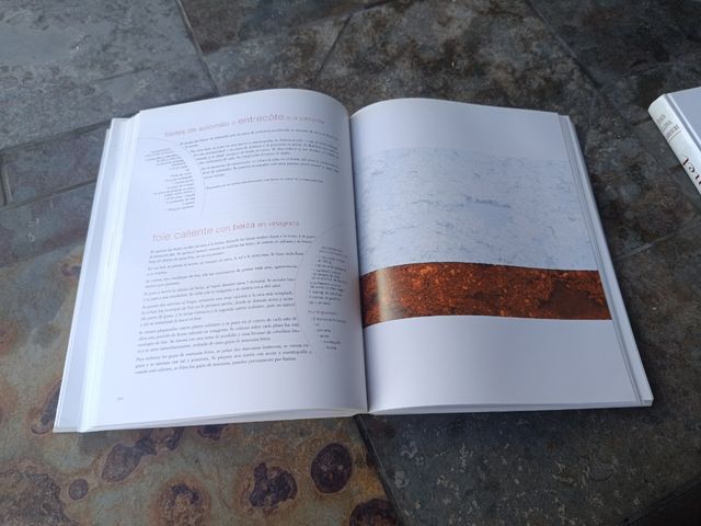 La cocina doméstica de Pedro Subijana (Spanish ...