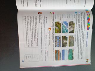 LINGUA 4