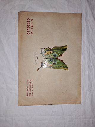 Mariposas: Álbum Bruguera