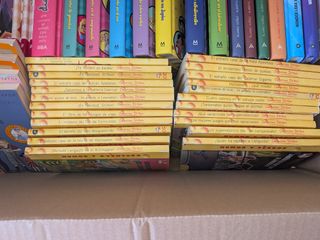 22 libros de la colección de Gerónimo Stilton