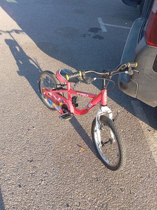Bicicleta B-PRO 