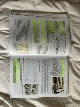 Historia de España 2º Bach.