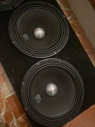 medios 10” gk audio svoice