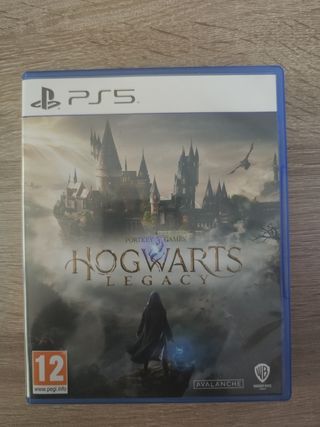 Hogwarts Legacy PS5 (PlayStation 5)