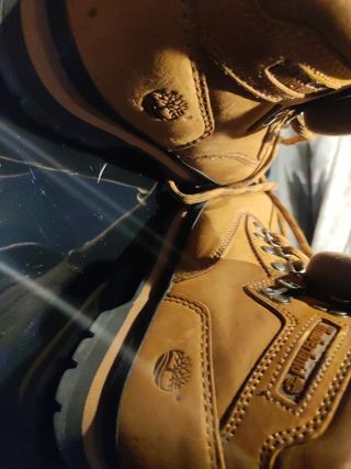 Botines Timberland marrón