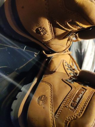 Botines Timberland marrón