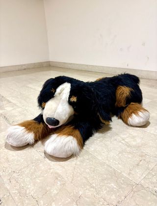 Peluche Cane gigante!