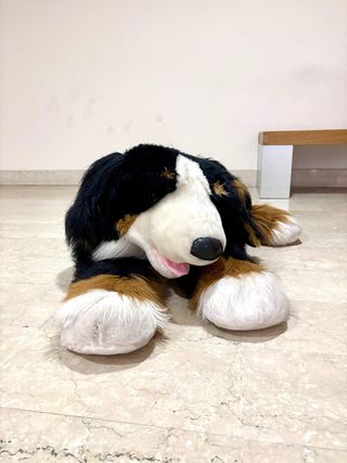 Peluche Cane gigante!