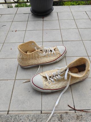 Converse All Star Beige - Scarpe