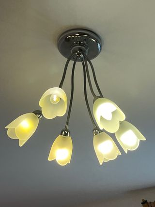 Lampadario 6 luci vetro satinato