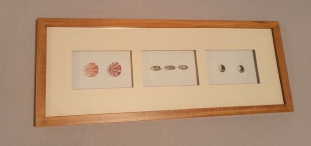 Quadro in stile costiero con conchiglie