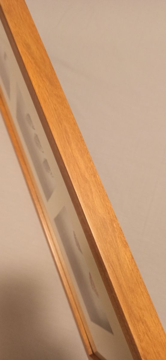 Quadro in stile costiero con conchiglie