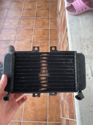 Radiador Zip Copa - Moto