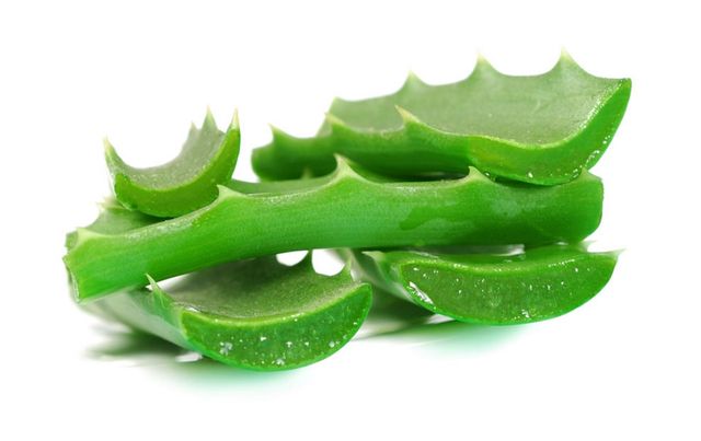 2 kilos de Áloe Vera ecológica con 8 años