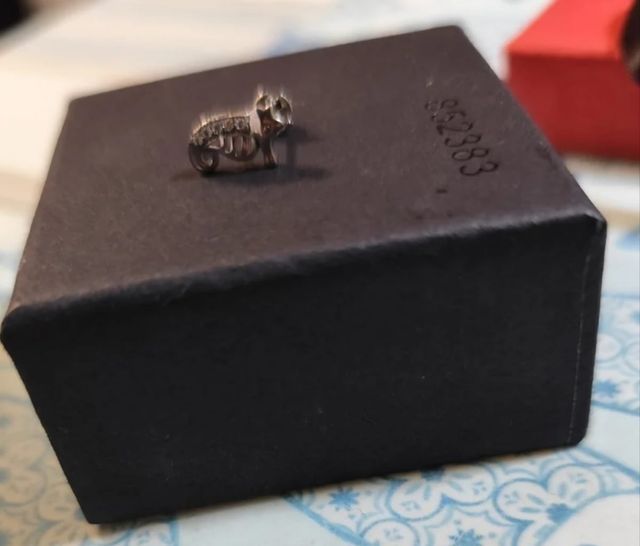 Pendientes plata caballitos de mar TimeRoad