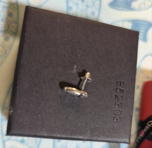 Pendientes plata caballitos de mar TimeRoad