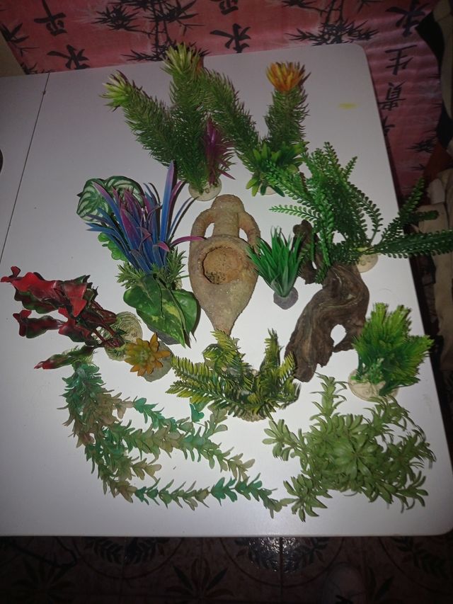 Adornos pecera - plantas