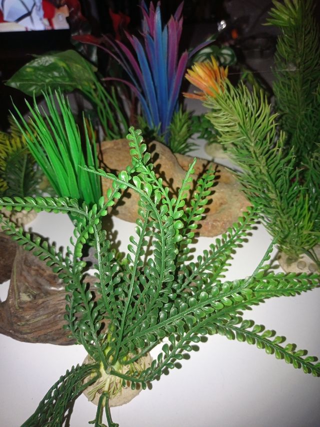 Adornos pecera - plantas