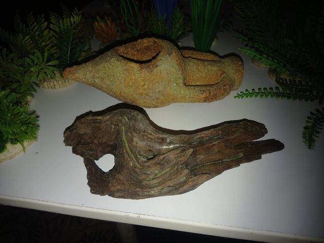 Adornos pecera - plantas