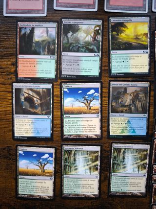 Lote cartas Magic The Gathering - 
100 Tierras MTG
