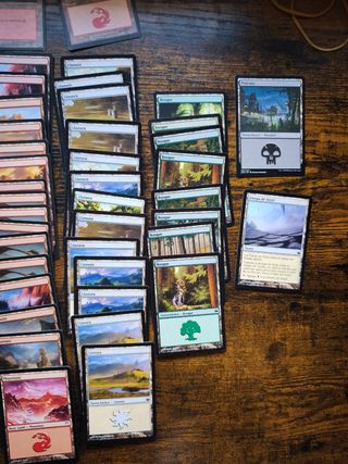 Lote cartas Magic The Gathering - 
100 Tierras MTG