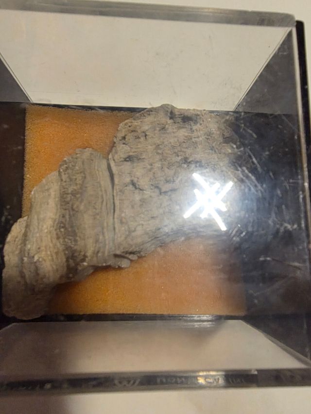 Pirite Montecatini - Collezione Vintage