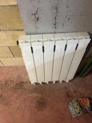 Radiador blanco hogar 6 elementos