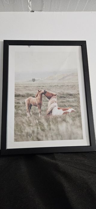 Cuadro caballos Ikea - marco negro
