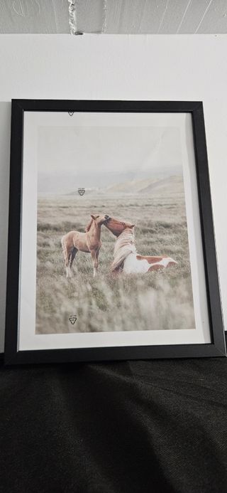 Cuadro caballos Ikea - marco negro