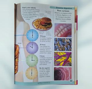Enciclopédia do Corpo Humano