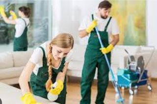 Limpieza Profunda Profesional