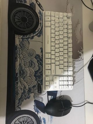 Teclado y ratón GAMINGXTrust blanco