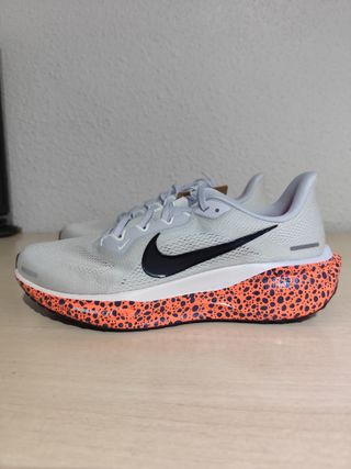 Zapatillas Nike Pegasus 41 Talla 43