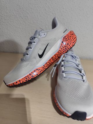 Zapatillas Nike Pegasus 41 Talla 43