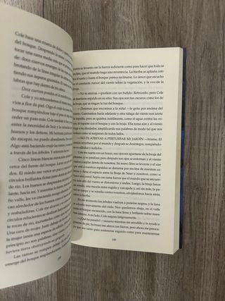 La bruja de Near (Spanish Edition)