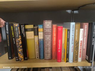 Lote de 17 libros